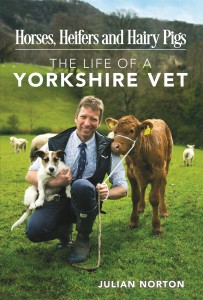 Stockton - Julian Norton Yorkshire vet